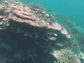 GBR_2
