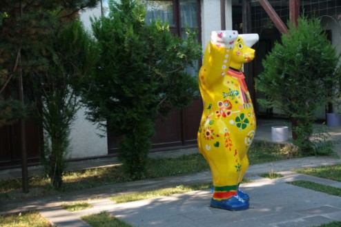 Der Bär auf (Dauer-) Besuch