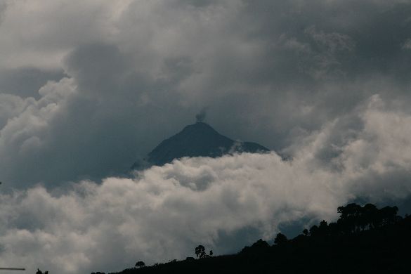 Aus- und Einsichten in Antigua 126